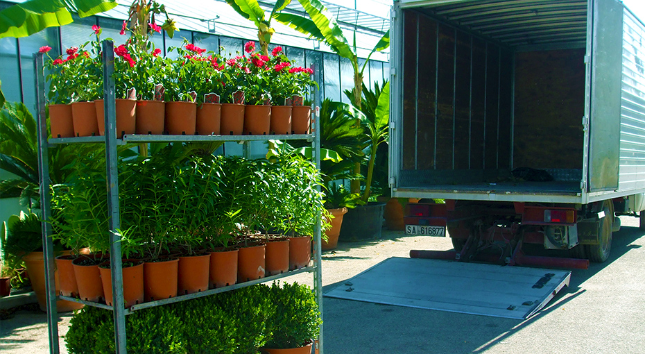 cl8